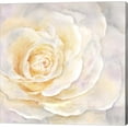 thumbnail image 1 of Watercolor Rose Closeup II by Cynthia Coulter, Canvas Wall Art, 1 of 1