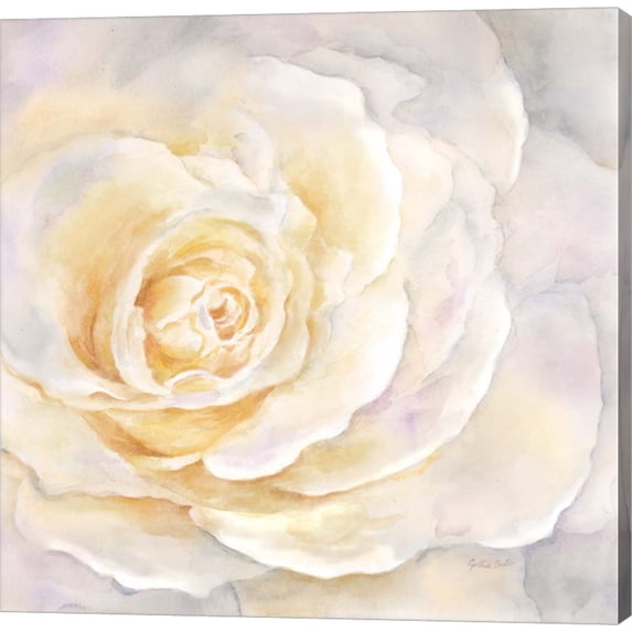 Watercolor Rose Closeup II by Cynthia Coulter, Canvas Wall Art