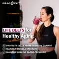thumbnail image 4 of Peacock Max Superfood Beet Powder with Nitric Oxide, Green Tea, BCAA - 10.6 oz, 4 of 12