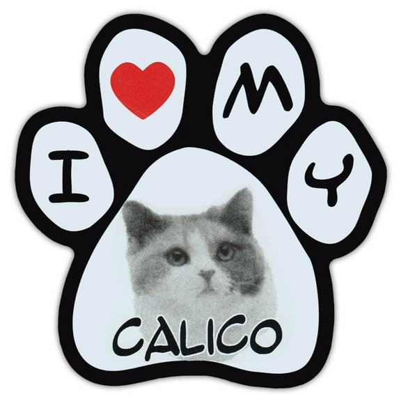Picture Cat Paw Shaped Car Magnet - Calico - Magnetic Bumper Sticker