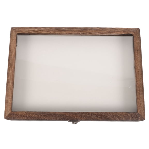 Pawsdot Vintage Wooden Insect Display Box Coffee Acrylic for Scary 1Set