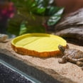 thumbnail image 3 of Wooden Log Turtle Stand With Integrated Food Bowl And Auto Sipper For And, 3 of 4