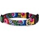 thumbnail image 1 of Conjunto Combinado De Collar Para Perro Lucky Love, Collar A Juego, Correa Cómoda, Confiable, De Tamaño Pequeño A Grande, 1 of 1