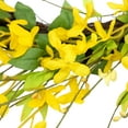thumbnail image 5 of Northlight Forsythia Artificial Spring Floral Wreath - 20" - Yellow, 5 of 8