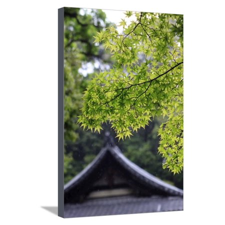 Les Paul Maple Neck - Ornately Designed Roof and Japanese Maple Leaves at the Golden Temple, Kyoto, Japan Stretched Canvas Print Wall Art By Paul Dymond