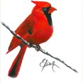 thumbnail image 3 of CafePress - Cardinal (2) Light T Shirt - Light T-Shirt - CP, 3 of 4