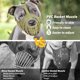 thumbnail image 5 of Muzzle Mayerzon Pitbull Rottweiler para perros grandes y medianos, 5 of 8