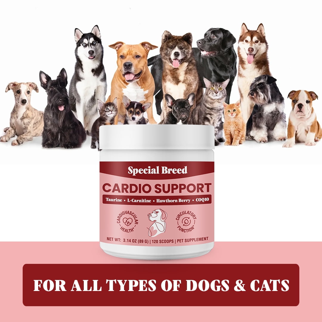 Special Breed Cardio Support for Dogs - Heart Health Support with Taurine,  CoQ10, Organic Hawthorne Berry, Powder Supplement, 240 Scoops, 6.28 oz -  Walmart.com