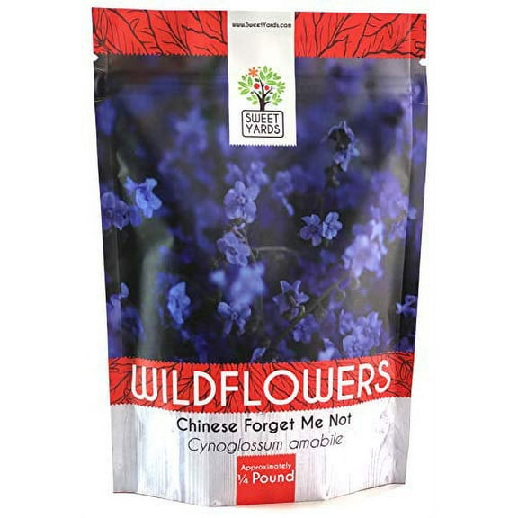 Chinese Forget Me Not Wildflower Seeds - Bulk 1/4 Pound Bag - Over 22,000 Open Pollinated Seeds - Blue Cynoglossum amabile