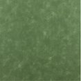 thumbnail image 1 of Designer Fabrics G719 54 Po. de Large, Vert, Tissu en Vinyle Marin Intérieur Extérieur Solide, 1 of 1