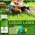 Seed Spray Liquid, grass seeds for lawn Liquid Seeding Grass Lawn