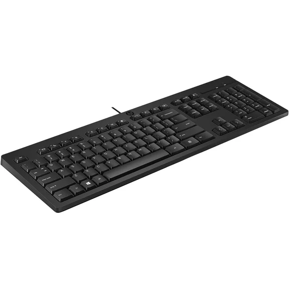 RHEA- Hp Keyboard 125 Usb Wired - Us - Black