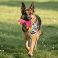 thumbnail image 4 of Dog Chew Toy With Squeaker Deer Shape Pet Toy For Cats And Dogs Durable Interactive Play Indoor Outdoor Stress Training, 4 of 6