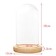 thumbnail image 3 of Cúpulas de cristal perfecl 2 piezas con base de madera, 3 of 8