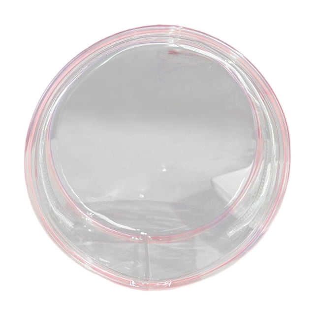 Bunblic Clear Figure Display Bag Figure Display Case. Zipper Closure Dustproof Doll Display Case Tiny Doll Pouch. for Doll Collectors PInk