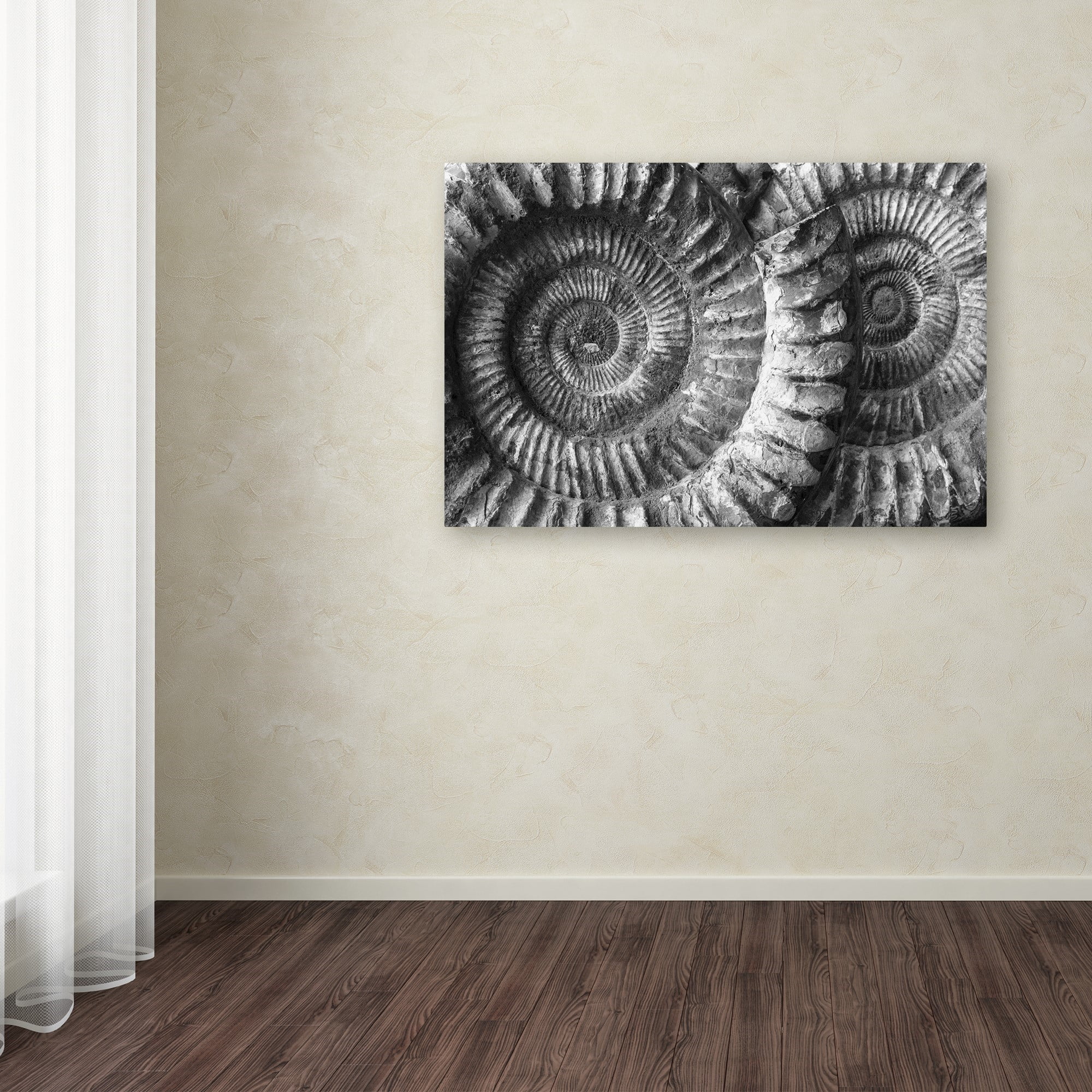 Moises Levy 'Amonita 3' Canvas Art