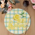 thumbnail image 3 of Summer Lemon Watercolor Round 13 Inch Placemats Set of 8, Yellow Blue Line Checkered HeatResistant Non Slip Place Mats for Dining Table, Wipeable Braided Kitchen Table Mats for Housewarming, 3 of 9