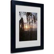 Trademark Fine Art "Hidden Life" Canvas Art by Monica Fleet, Black Frame