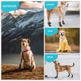 thumbnail image 7 of Black L Waterproof Dog Paw Protector Booties For Small Medium Large Dogs Outdoor Hiking Walking, 7 of 7