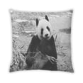 thumbnail image 2 of Ahgly Company Animals Bear Coussin Extérieur, 18 Pouces par 18 Pouces, 2 of 6