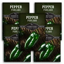 5 Packs Poblano Pepper Seeds - Ancho Chiles - Non-GMO Heirloom Annual Full Sun
