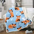 thumbnail image 1 of Couverture Jetée Motif Animal Mignon pour Enfants Garçons Filles Dessin Animé Panda, 1 of 4