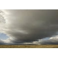 thumbnail image 2 of Grall, Don 32x23 Gold Ornate Wood Framed with Double Matting Museum Art Print Titled - CO, North Park Storm clouds sweep across plain, 2 of 4