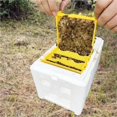 thumbnail image 4 of Foam Bee Box Versatile Queen Bee Breeding Box Bee Mating Box Queen Bee Rearing Beehive Beekeeper Suppliers ,Practical Tools, 4 of 6