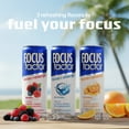 thumbnail image 6 of Focus Factor Energy Drink - 12 x 355ml Cans (Original Flavor) - with Focus + Energy - Sugar Free, Low Calorie with Vitamin B6 & Vitamin B12, 6 of 6
