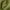 Sage Green, variant on THD Essentials Sheer Voile Window Treatment Rod Pocket Curtain Panels - Pair