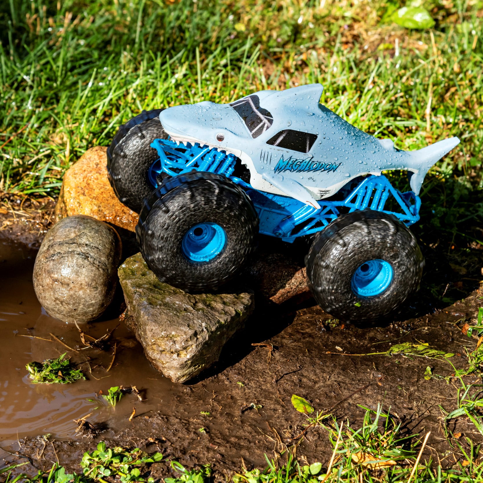 tire storm rc car