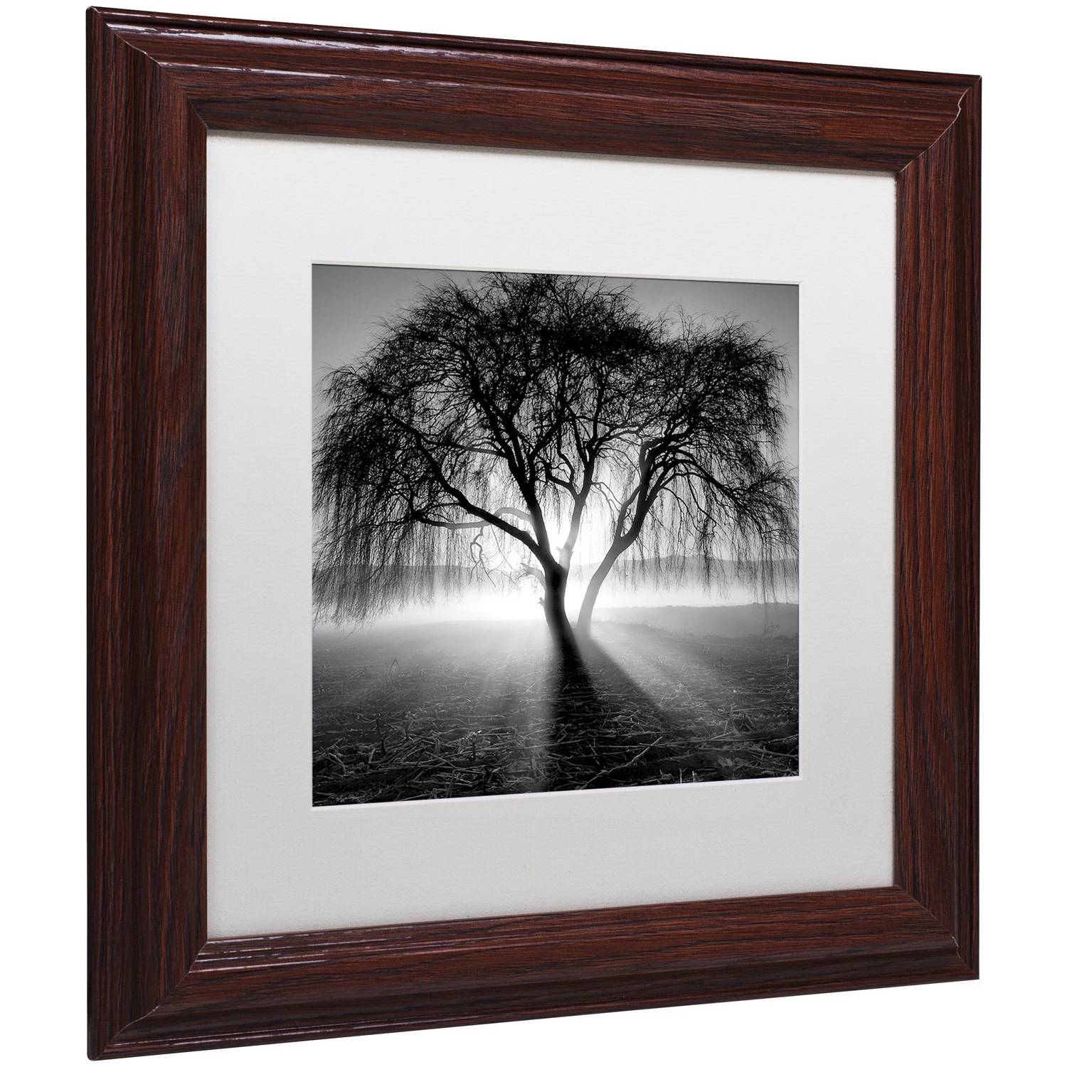 Trademark Fine Art "Lightning Tree I" Canvas Art by Moises Levy White Matte, Wood Frame