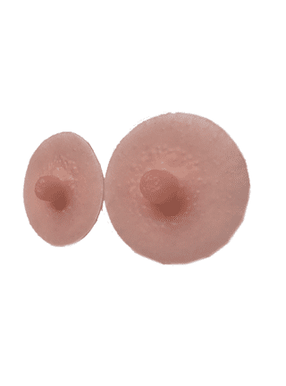 Lingerie Solutions Women's Adhesive Concealers Silicone Breast Petals Nude Nipple  Covers One Size 