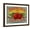 Brown Frame, variant on Art.com Fruit Crate Labels: Rising Sun Fancy Apples; F.E. Nellis and Company Stretched Canvas Print Wall Art, 16" x 12"