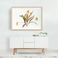 thumbnail image 6 of Trout Lily Botanical - Illustration Floral Botanical Flowers Nature Vintage Art Deco Minimalist Unframed Wall Art Print 18 x 24 inches, 6 of 7