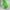 Green, variant on YUEHAO Pet Supplies Pet Dog Warm Pajamas Soft Solid Color Cat Puppy Clothes Vest Cat Vest Black
