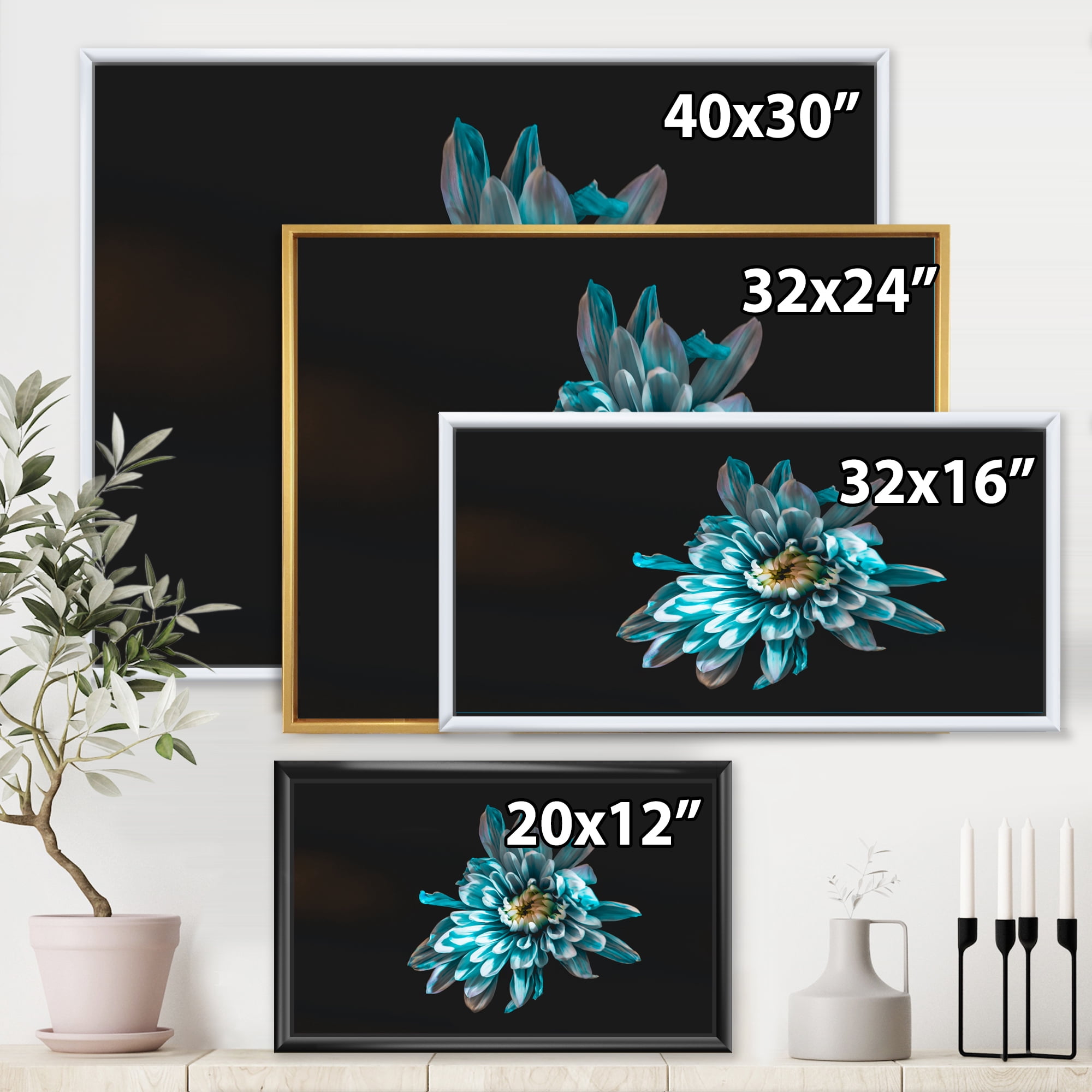 Designart 'Top View of White and Blue Flower' Traditional Framed Canvas Wall Art Print