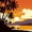 Colorful 4, variant on jejeloiu Silhouette Beach Sunset Full Size Comforter Sets For Girls,Palm Tree Print Bedding Comforter Set,Orange Black,Black Reversible,3pcs,1 Comforter and 2 Pillowcases