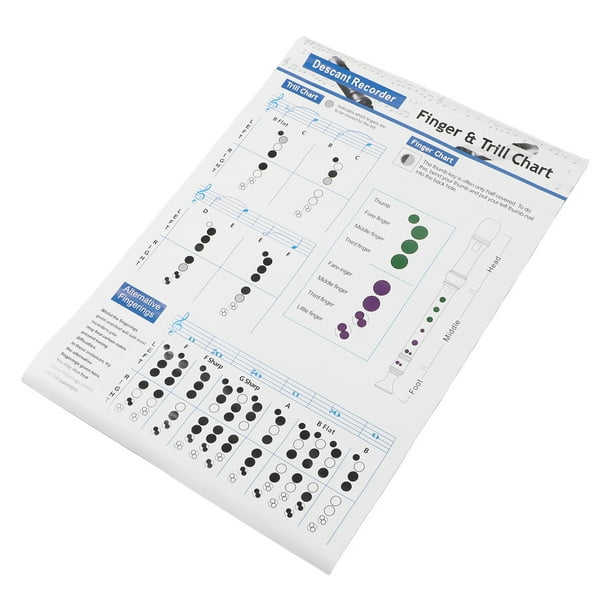 8 Hole Chord Chart, Durable Low Middle High Register