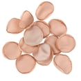 thumbnail image 1 of Flores Artificiales Pétalos De Rosa De Seda Niña De Flores Pétalos De Dispersión Artificial Para Centros De Mesa De Pasillo De Boda Aniversario Día De San Valentín Cortejo 200 Unids Eigraketly HA039638-03, 1 of 5