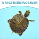 thumbnail image 3 of unbranded Alfombra Para En Terrario De Reptiles Resistencia Y Limpieza Sencilla Color Azul, 3 of 7