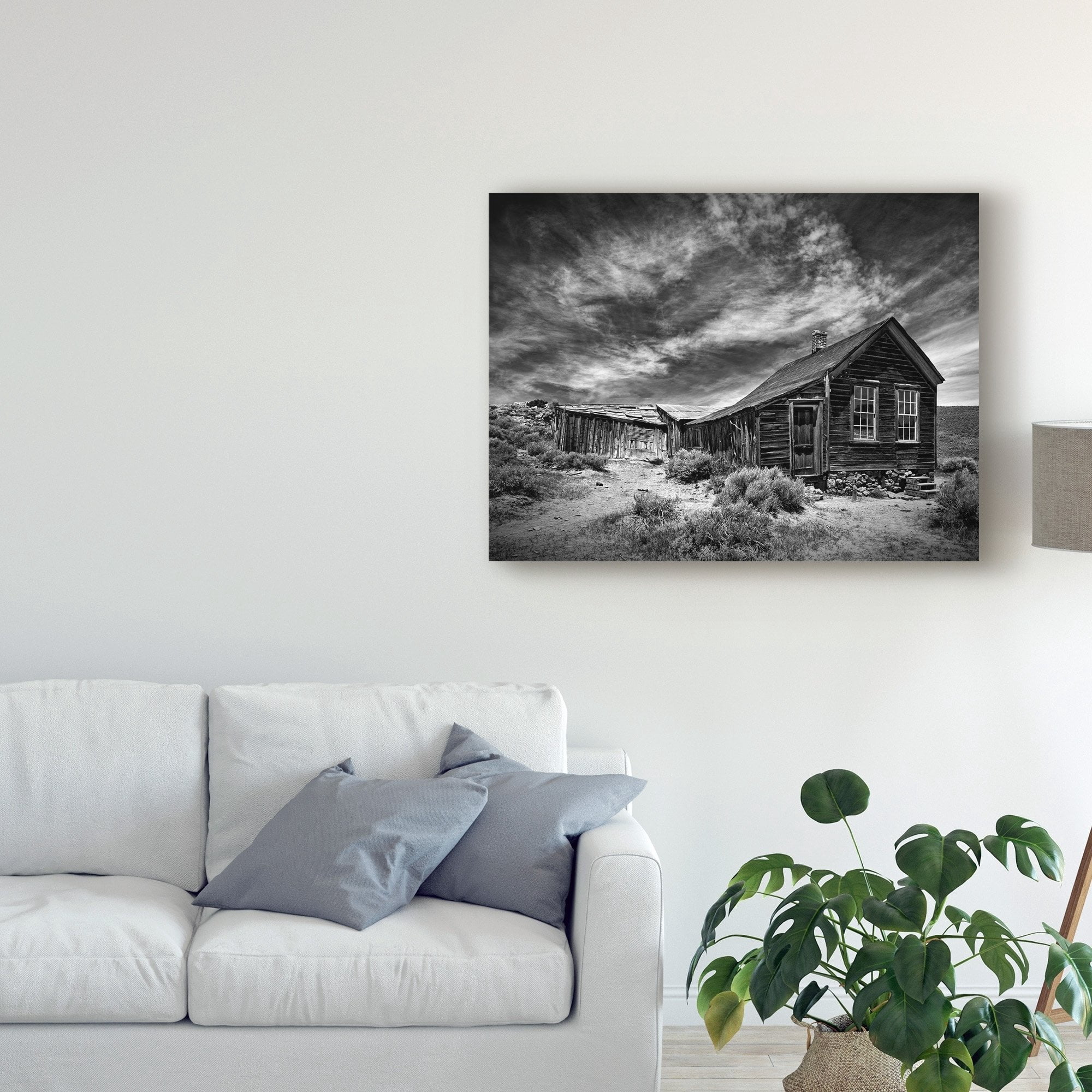 Trademark Fine Art 'Black And White Desert View III' Canvas Art by David Drost