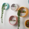 thumbnail image 1 of HLONK Durable Decorative  Planter- Leakproof Hanging Hydroponic Styles Pot for Balcony, 1 of 8