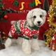 thumbnail image 3 of Pijama para perros XPUDAC, 4 piezas, para perros pequeños, trajes navideños, 3 of 6