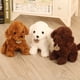 thumbnail image 3 of FELTECHELECTR Juguetes de peluche para la hora de dormir, figura de perro caniche de peluche (blanco), 3 of 6