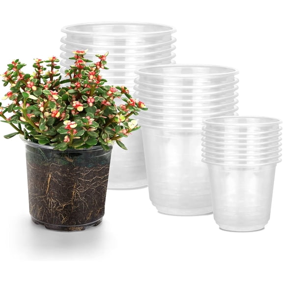 24 Pack Clear Plastic Plant Pots, 3.5/5/6 Inch Nursery Pots with Drainage Holes, Flexible Reusable Transparent Flower Pots for Indoor Outdoor Gardening, Seedlings, Succulents, Orchids