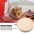 thumbnail image 4 of Hamsters de 3,5 Pouces, Plate-Forme Légère, pour Hamsters, 4 of 8