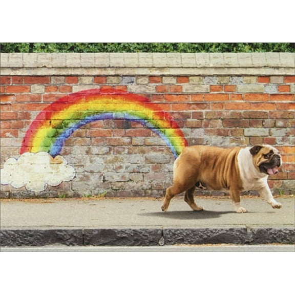 Avanti Press Dog Rainbow Funny Bulldog Birthday Card