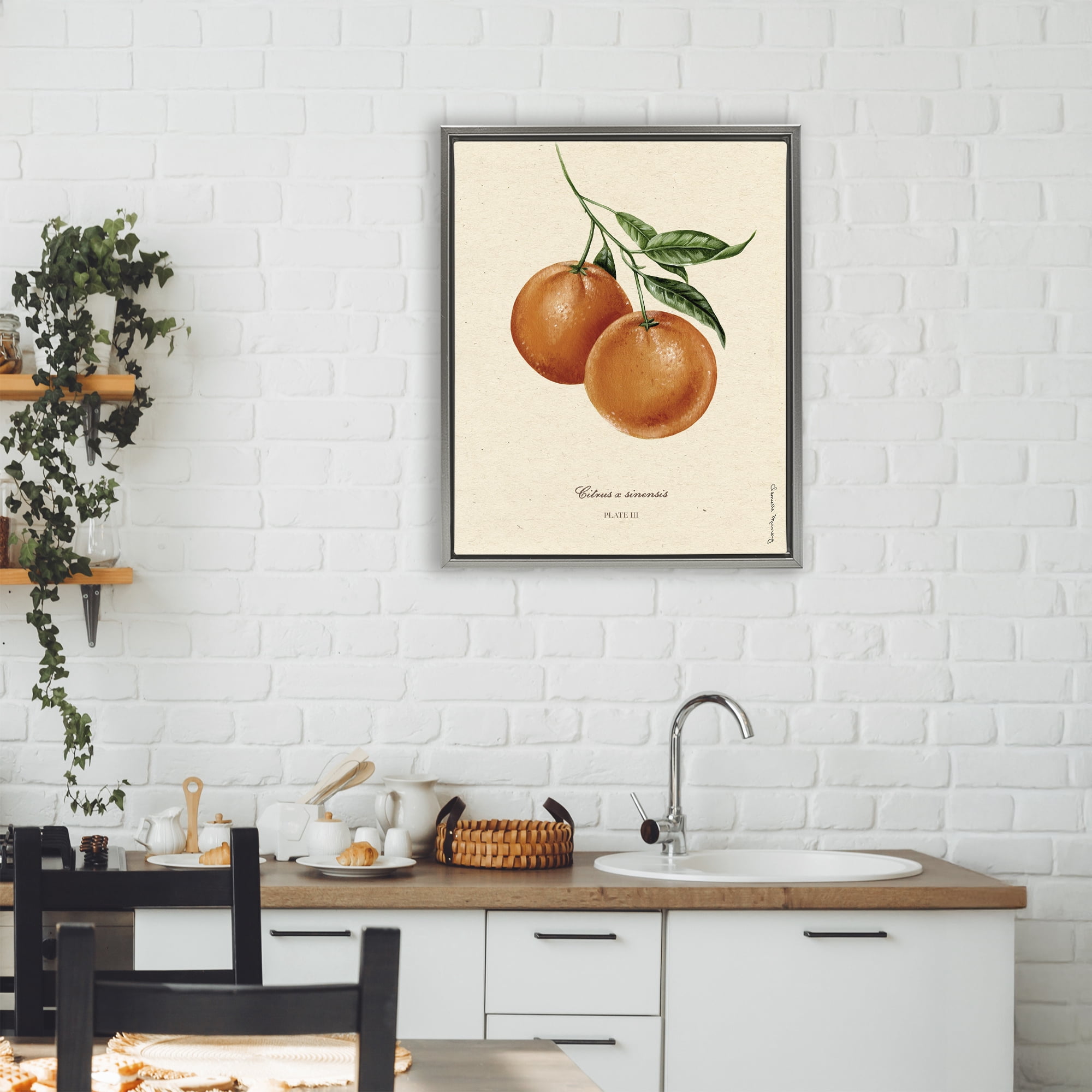 Stupell Industries Orange Fruit Portrait Gray Framed Floater Canvas Wall Art, design by Danielle Murray