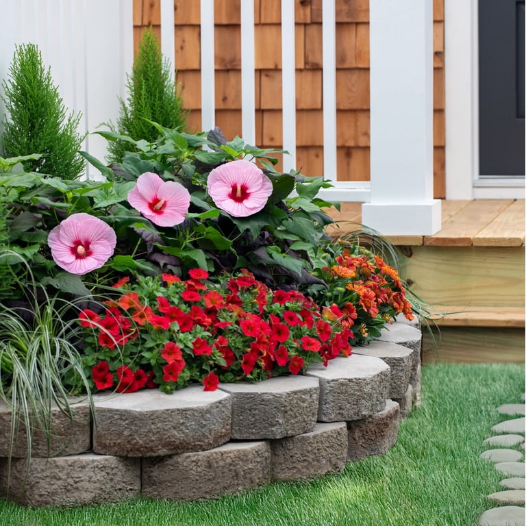 Flower LEGO® Hibiscus - 10372 | Kaplan Early Learning